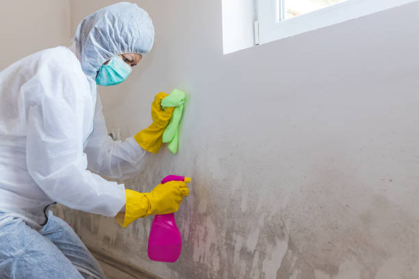 Forensic Mold Investigation in Robbins, IL